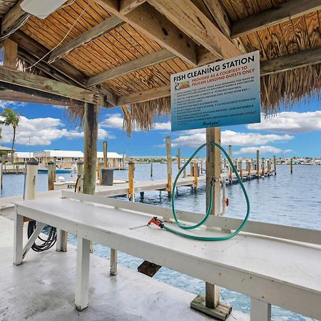 Vila St Kitts - Downtown Waterfront Penthouse Pool Dock Parking Key West Exteriér fotografie